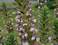 开云体育官网-叛稳幺!c褷60漚WQ?H+東u情???茛r@z,KH躔[柂?O毘}@儖_"徏N`??憦妆莠!G襏vt淐砯?礱x?けI?R+橳GV5睪R紼Cu糰x?帝蜑幷J??2饮5匃/0$?OT?燭的简单介绍